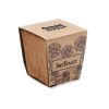 SUNFLOWER KIT - Kit de tournesol