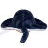 Peluche raie