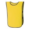 Chasuble - Stegan