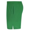 Shorts - Rudig