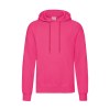 Sweat capuche 280