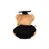Ours en peluche diplomé