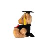 Ours en peluche diplomé