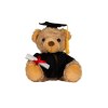 Ours en peluche diplomé