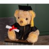 Ours en peluche diplomé