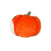Citrouille en peluche