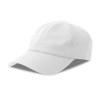 Dad hat recyclée