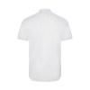 Chemise oxford mc homme