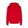Basic hoody