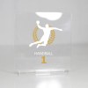 Trophée en plexiglas CARRE - France 3 mm