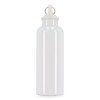 Bouteille d'eau Nina R-PET 500 ml Couleur dure