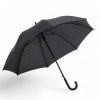 Parapluie primo stanford