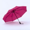 Active set: bouteille d’eau isotherme et parapluie automatique