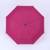 Active set: bouteille d’eau isotherme et parapluie automatique