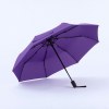 Active set: bouteille d’eau isotherme et parapluie automatique