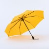 Active set: bouteille d’eau isotherme et parapluie automatique