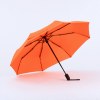 Active set: bouteille d’eau isotherme et parapluie automatique