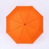 Active set: bouteille d’eau isotherme et parapluie automatique