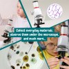 MICROSCOPE. Jeu éducatif pour les enfants