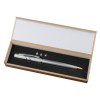 Laserpointer + LED avec stylo