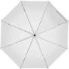 Parapluie de poche