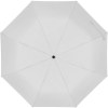 Parapluie en REPT