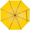 Parapluie avec l'étui