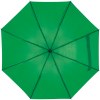 Parapluie avec l'étui