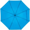 Parapluie avec l'étui
