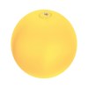 Ballon gonflable pour la plage