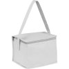 Sac isotherme non tissé pour 6 canettes