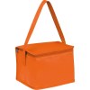 Sac isotherme non tissé pour 6 canettes