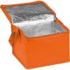 Sac isotherme non tissé pour 6 canettes