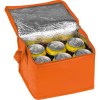 Sac isotherme non tissé pour 6 canettes