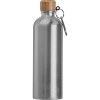 Gourde en acier inoxydable avec mousqueton, 750ml