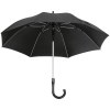 Parapluie, Fibreglass