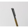 CHIPPEWA PEN - Stylo-bille avec étui