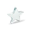 STARWARD - Trophée en verre Etoile