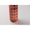 ISFORDEN MARK - Bouteille de sport RPET 1L