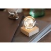GLOBE LIGHT - Globe en verre LED