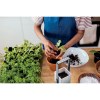 LUSHLET - Jardin intérieur éclairage LED