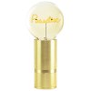 AMPOULE MITB "PARADISE"