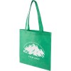 Sac shopping en non tissé 80 g/m2 Taye