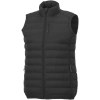 Bodywarmer matelassé Homme Pallas recyclé