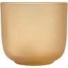 Gobelets en verre Male de 200 ml - lot de 2
