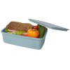 Lunch box Dovi de 800 ml