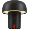 Enceinte et lampe JBL portables Kooduu Sensa Play