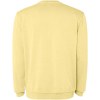 Pull ras du cou Jaya unisexe
