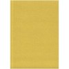 Cahier A5 Novella Austen à couverture souple métallisée de 100 feuilles