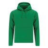 Sweat-Shirt Adulte - Draco